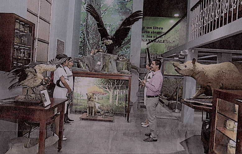 Fotografía de Trivias, teatro y danza para celebrar el Día de los Museos
