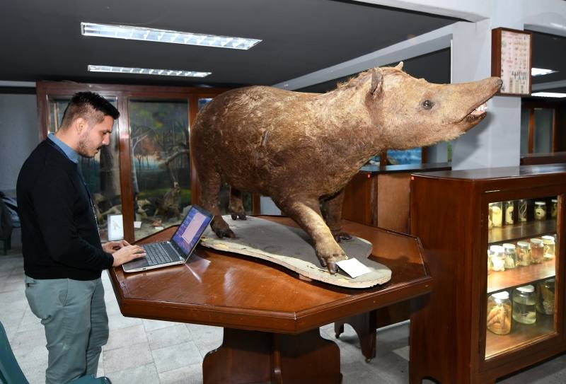 Fotografía de Rincones de Guayaquil que recrean historia y fauna local