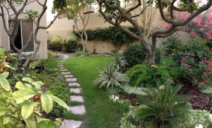 Front Garden - South