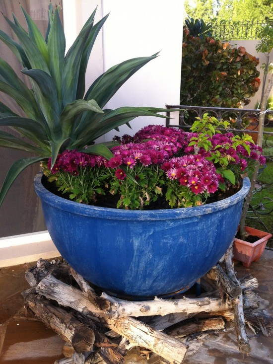 The Witch's Cauldron