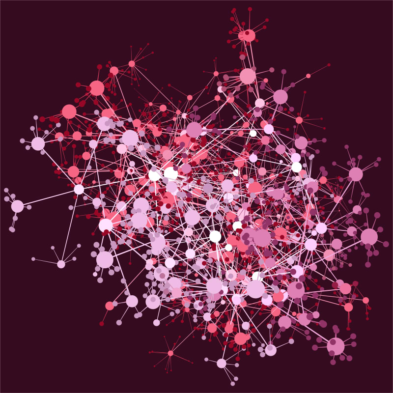 Paths and Connectivity