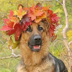 Happy Thanksgiving everyone. I'm grateful for all of you. 