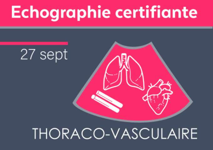Echographie thoraco-vasculaire débutant