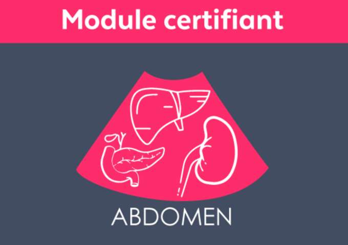 Echographie abdominale débutant