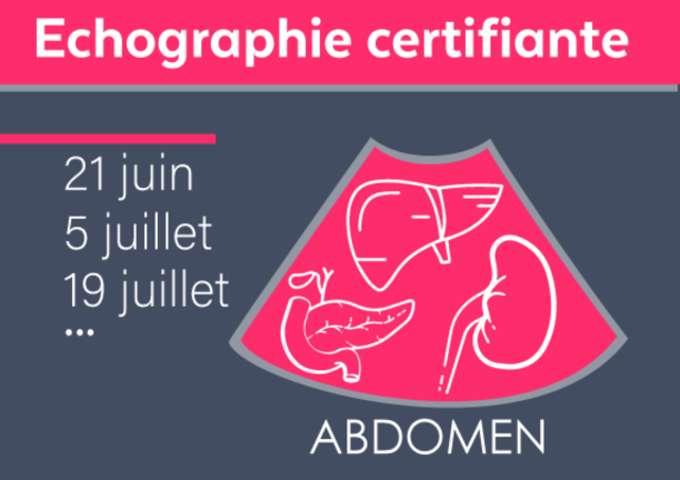 Echographie abdominale débutant