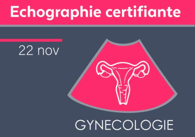 Echographie gynécologique débutant