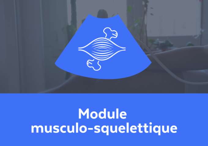 Module musculo-squelettique 10h / e-learning + webconf