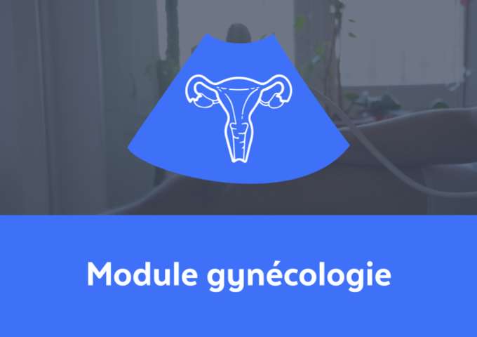 Module gynécologie 10h / e-learning + webconf