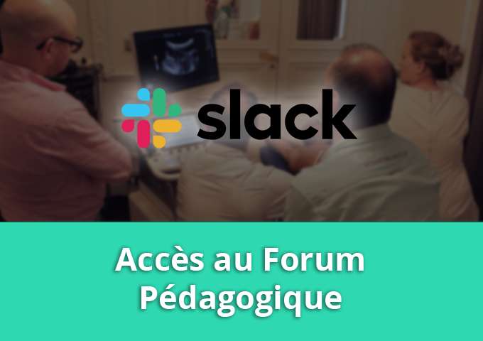 1 an de suivi Mentor et forum de pairs