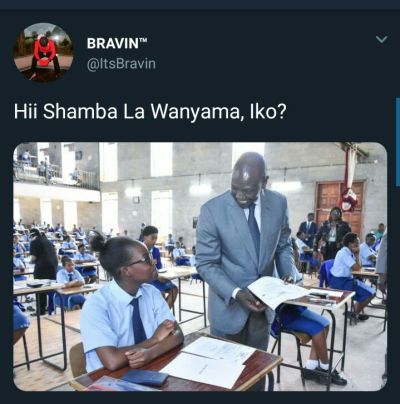 Shamba la wanyama