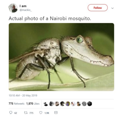 nairobi mosquitos