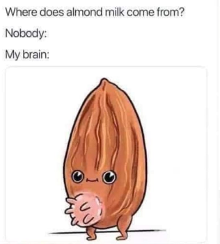 where does almond milk  come from
