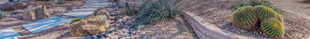 Beautiful desert landscape design