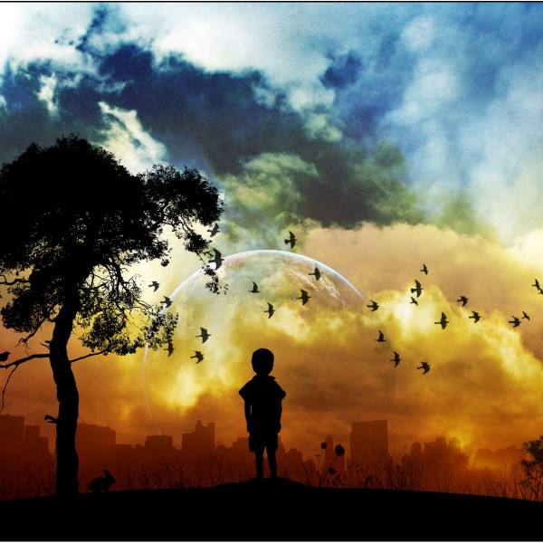 Child standing near tree