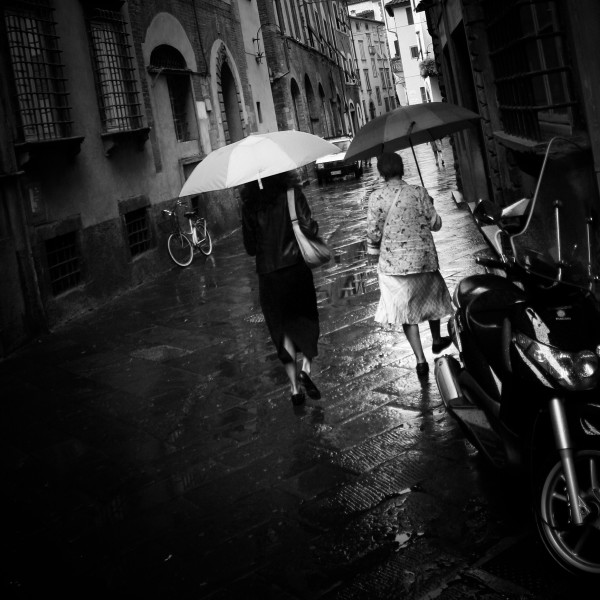 Two umbrellas and a bicycle