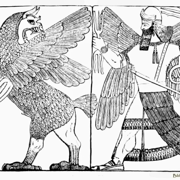 Combat between the monster tiamat