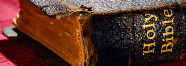 Bible miniseries wide