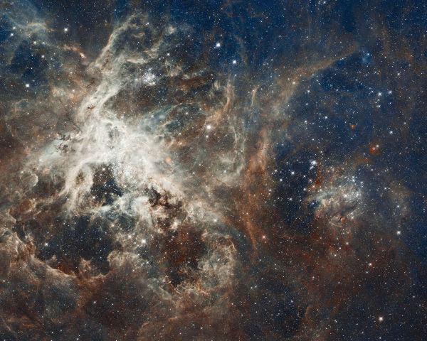 30 doradus tarantula nebula