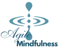 Agile Mindfulness