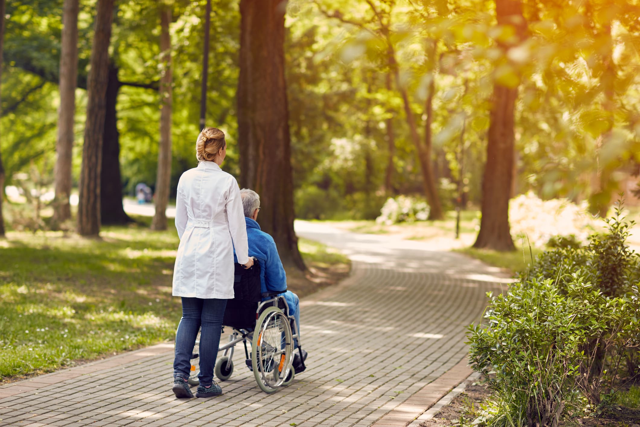 Hospice forms banner