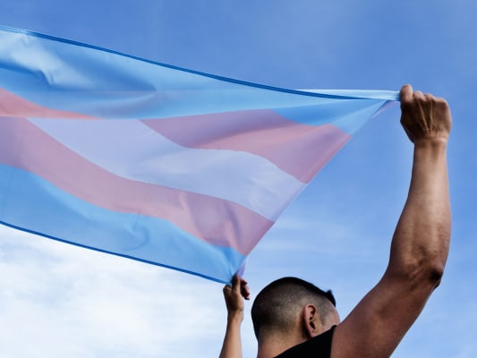 Transgender flag.