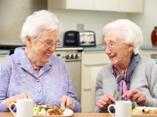 Older adults eating healthy together