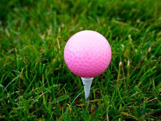 breast Cancer