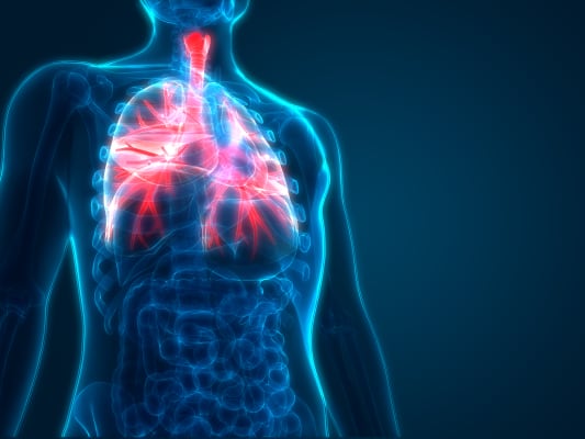 Lung illustration for dr listing