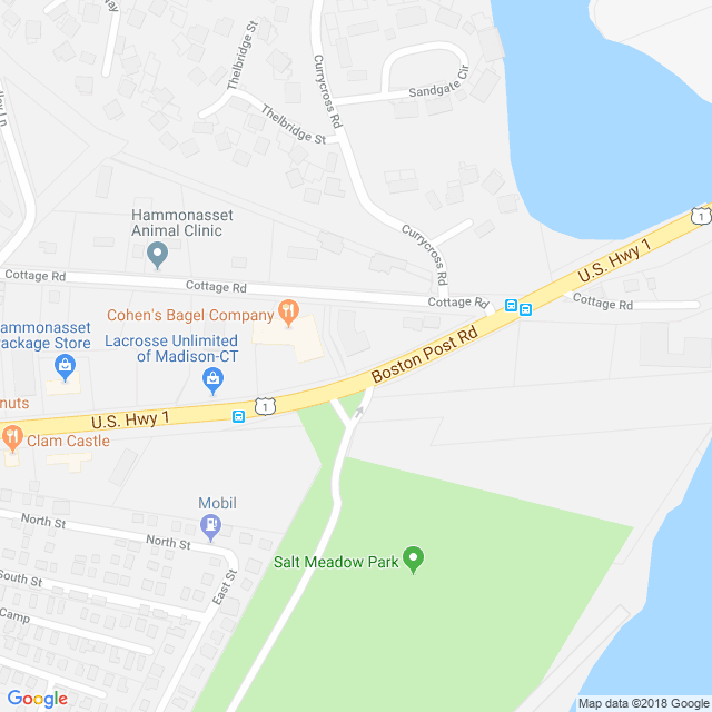 Connecticut Orthopedics - Madison