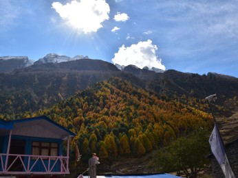 Standard Lodge Nepal