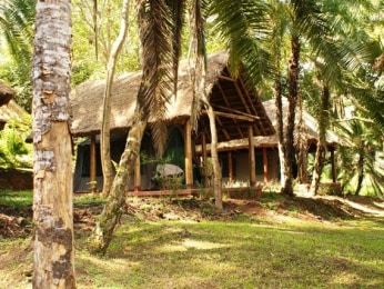 Kibale Forest Camp