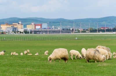 Abflug Sibiu Airport.jpg