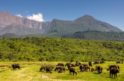 Arusha-Nationalpark-Tansania-Fusspirsch