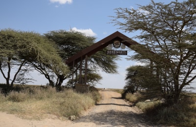 Tor Serengeti Tansania
