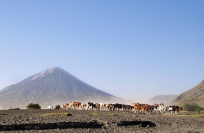 Lake-Natron-Ol Doinyo Lengai-Tansania-Safari