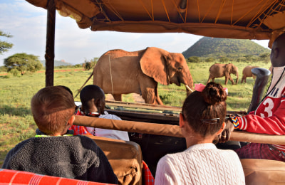 safari-masai-mara.jpg