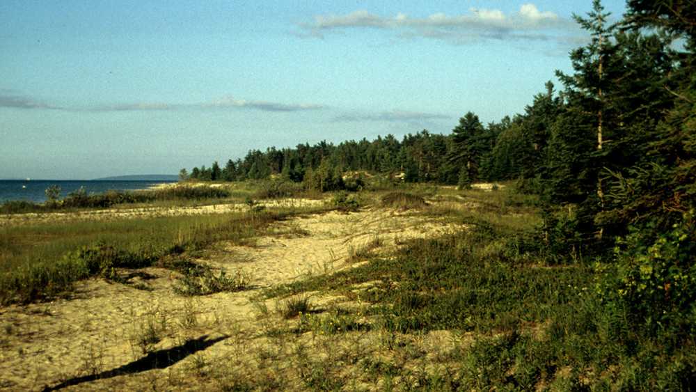 Wilderness State Park shoreline Wilderness State Park shoreline