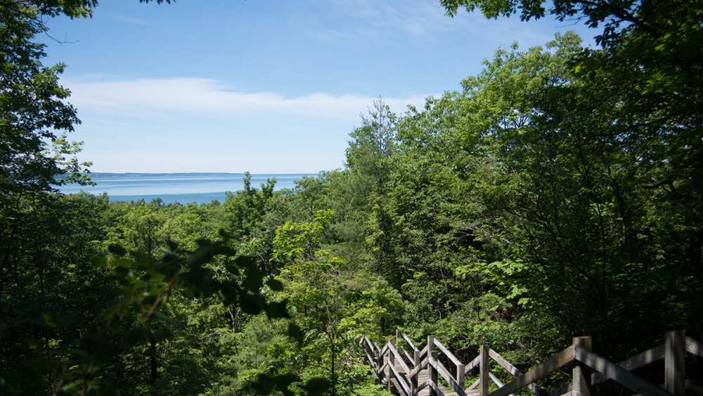 View of Little Traverse Bay over the treetops at Petoskey State Park
