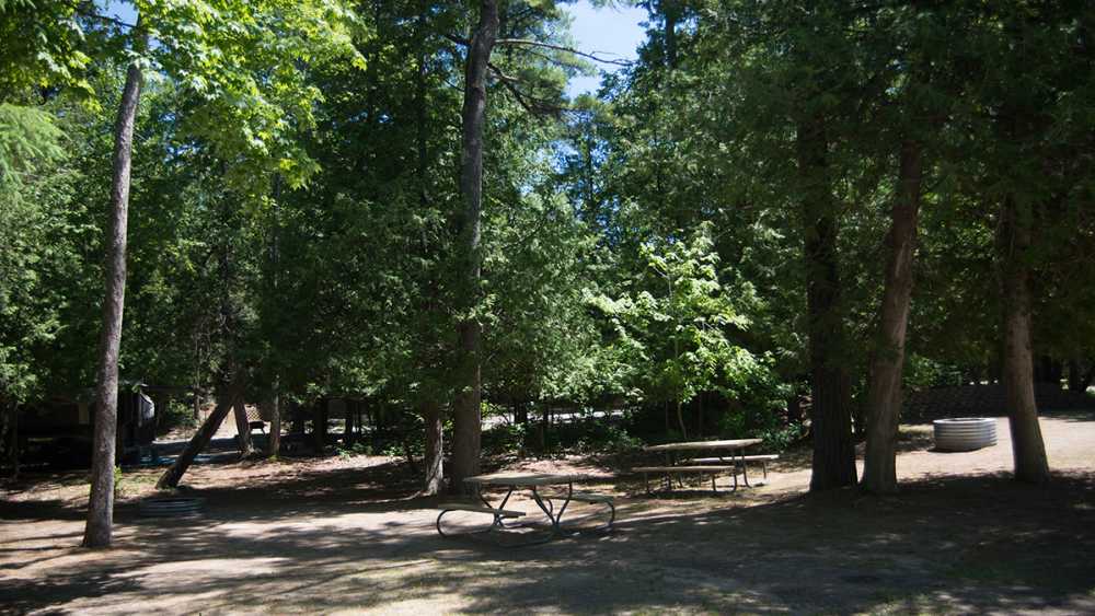The tree covered campground at Petoskey State Park.