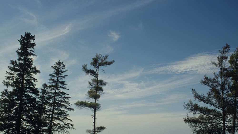 Burt Lake State Park shoreline Burt Lake State Park shoreline