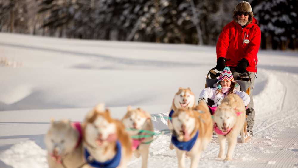 SCR-Dogsledding.png SCR-Dogsledding.png