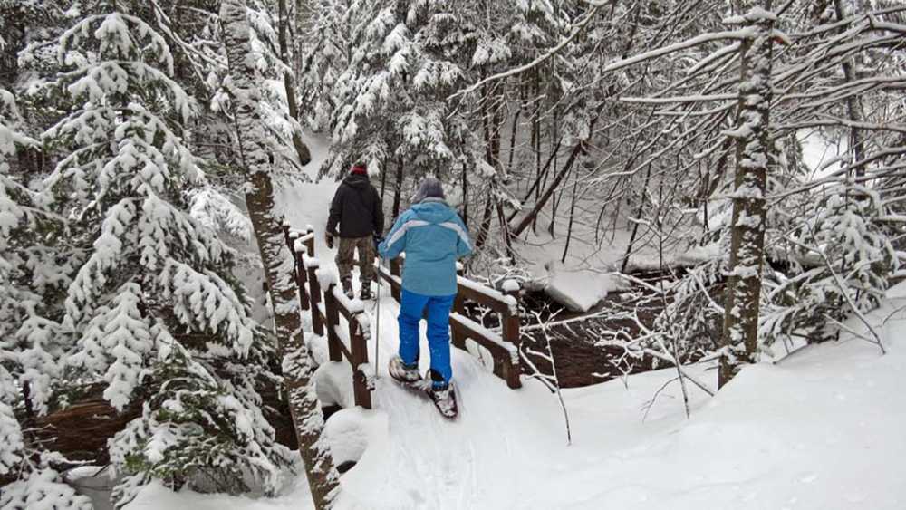snowshoe.jpg snowshoe.jpg
