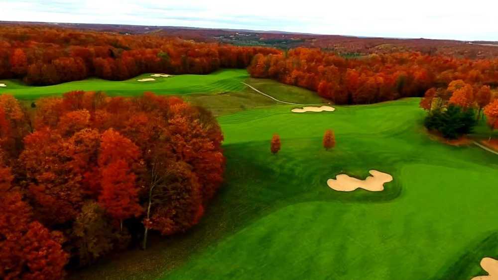 treetops..jpg treetops..jpg