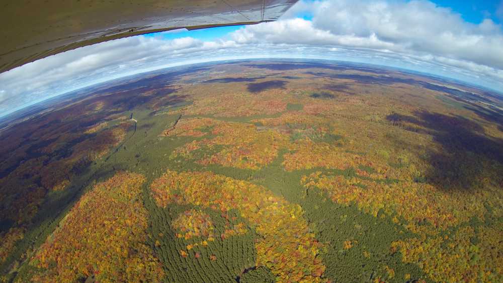 The fall color just East of Manistee The fall color just East of Manistee