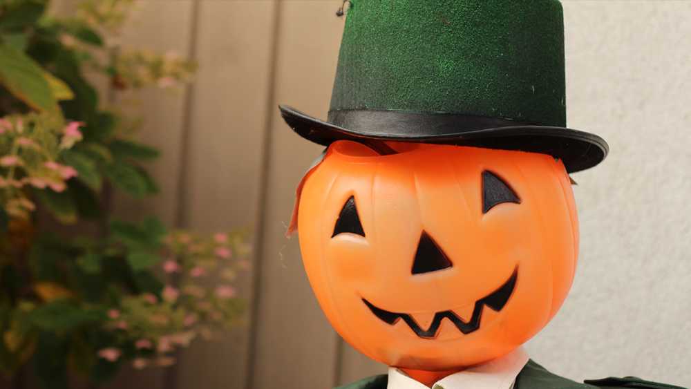 puremi---scarecrow.jpg puremi---scarecrow.jpg