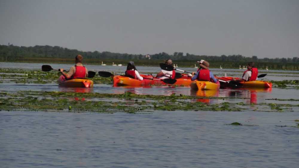 A group of five kayakers in Saginaw Bay. A group of five kayakers in Saginaw Bay.