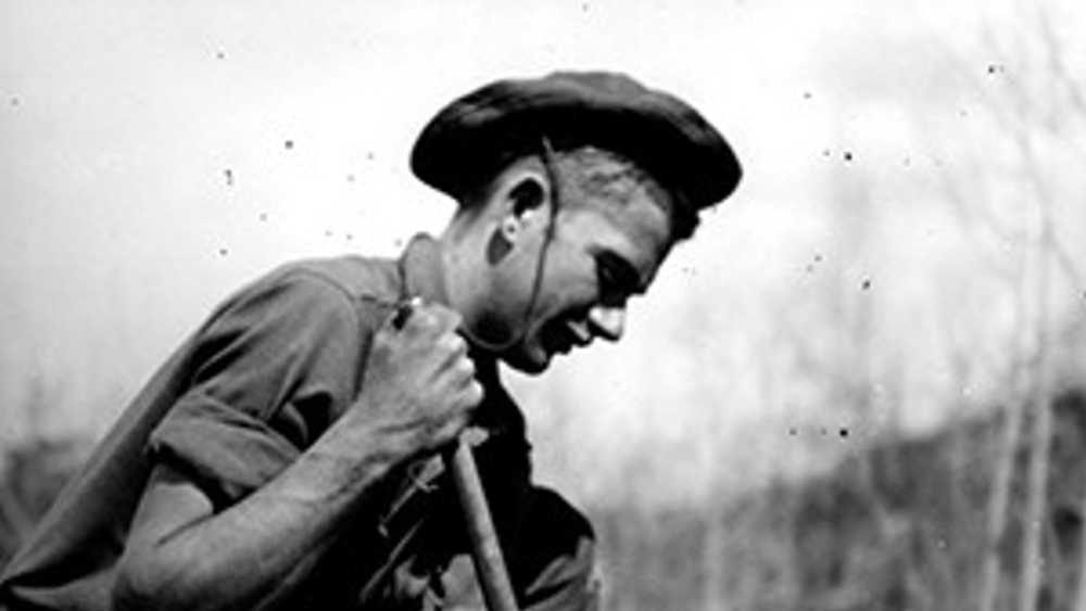 mhm_mi-tree-army_557316_7.jpg mhm_mi-tree-army_557316_7.jpg