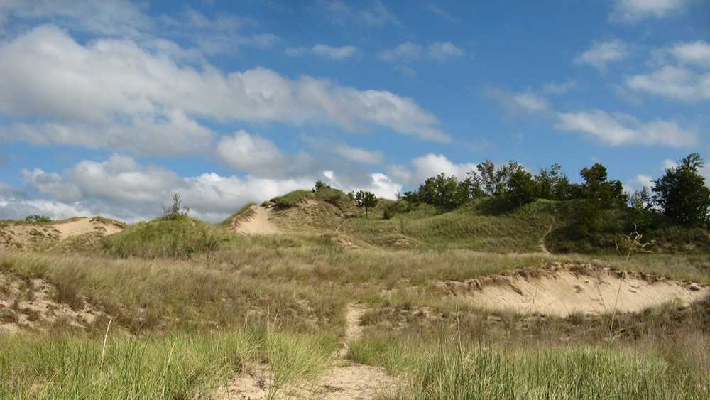Grand Mere State Park grass covered dunes Grand Mere State Park grass covered dunes