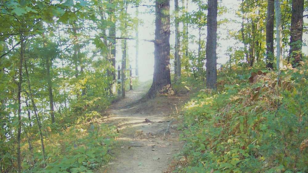 Newaygo State Park trail Newaygo State Park trail