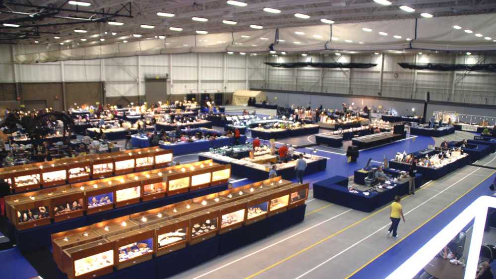 MMS whole expo.jpeg MMS whole expo.jpeg